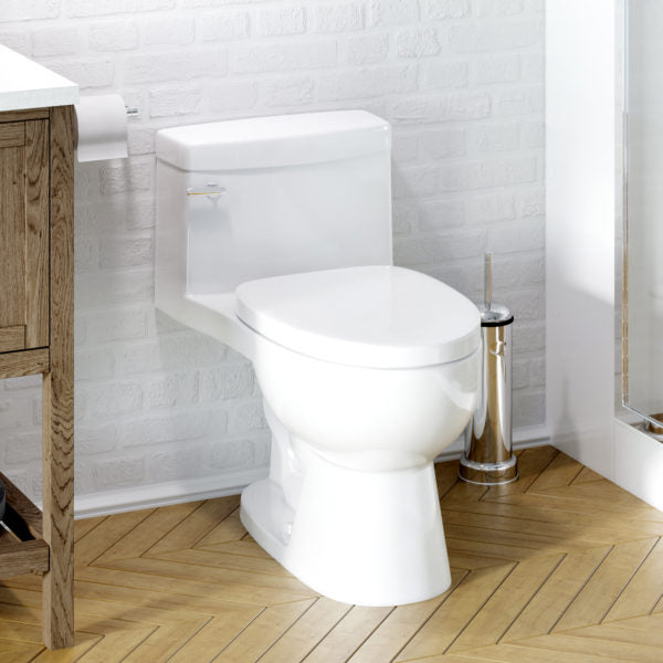 RIOSE: 1 Piece Elongated Toilet with Slow-Closing Seat (Installed Price)